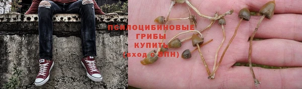 шишки Армянск