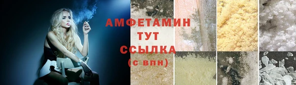 шишки Армянск