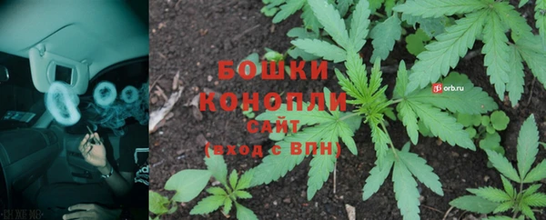 шишки Армянск